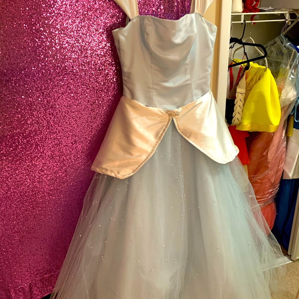 Cinderella Dress Costume